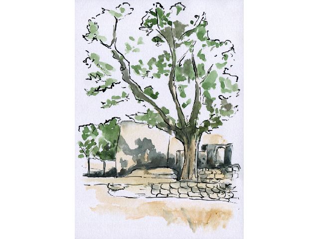 SITE OF MARTYRDOMS AT NAYRÍZ